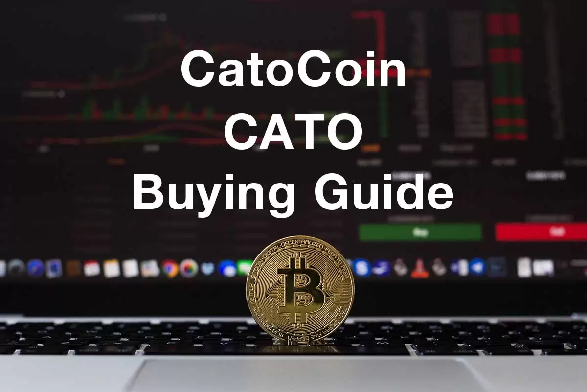 how to buy cato crypto